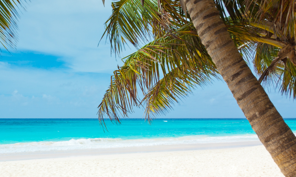 A Honeymoon to Remember: Sailing the Caribbean Seas